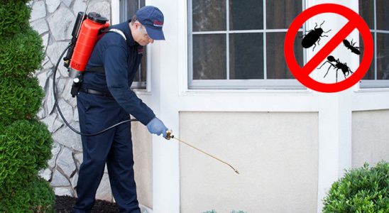 Bağlar Böcek İlaçlama böcek ilaçlama ve haşere kontrolü — ilaclama-tr.com